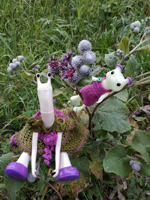 Wonderfrog. Красота в простоте