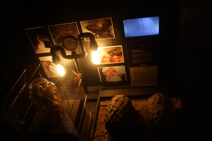 Петербург. Музей НЕправды (18+). Часть 1