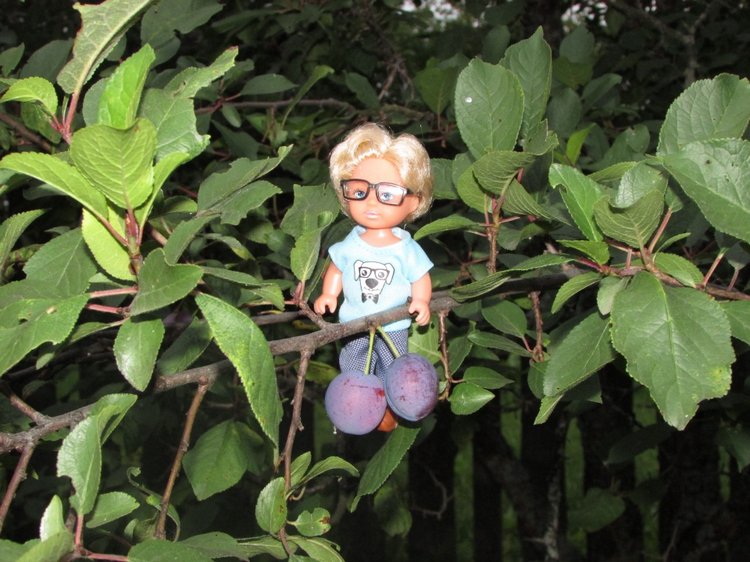 Путешествие в Нижегородскую область - часть 3 - Тимошка на усадьбе