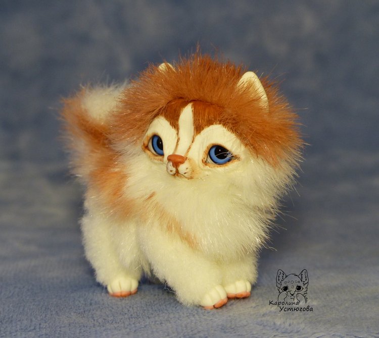 Щенок Хаски, миниатюра. Медный Окрас (фото 7)