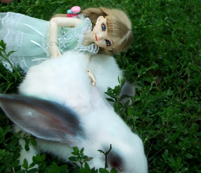 Кролики превращаются... превращаются... А котик улыбается) (фото 8)