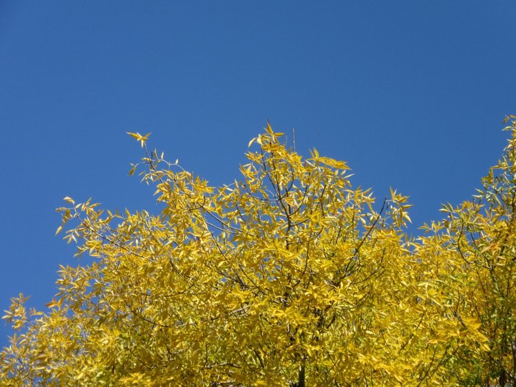 Выходной с Хеленой в Таганроге (фото 3)