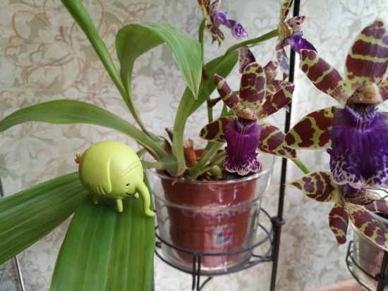 Любимые фигурки — Интересные игрушки и фигурки (разное): редкие (фото 7)