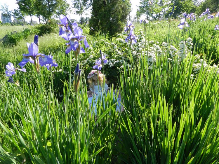FELICITA или Счастье — Домашние коллекции кукол: фото собраний (фото 5)