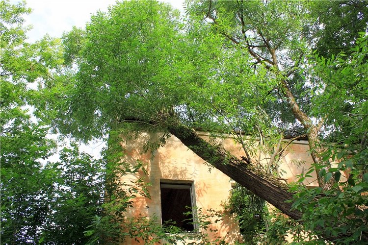 Июльское путешествие в Старицу, продолжение