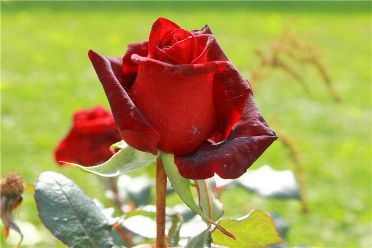 Сентябрьское путешествие в Старицу. Старицкий Свято-Успенский Монастырь