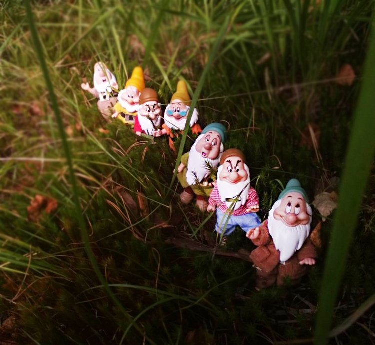 Осеннею порой под старою сосной... Принц, Белоснежка и гномы... встречаются (фото 10)