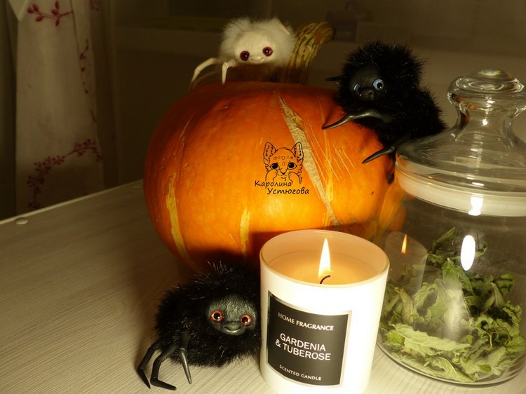 Halloween и маленькие паучки (фото 7)