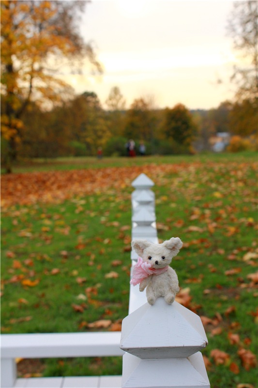 Золотая Осень в Берново с Имани. Mini Imani от Kaye Wiggs