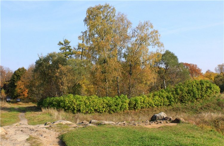 Путешествие Dal Hangry в Грузины