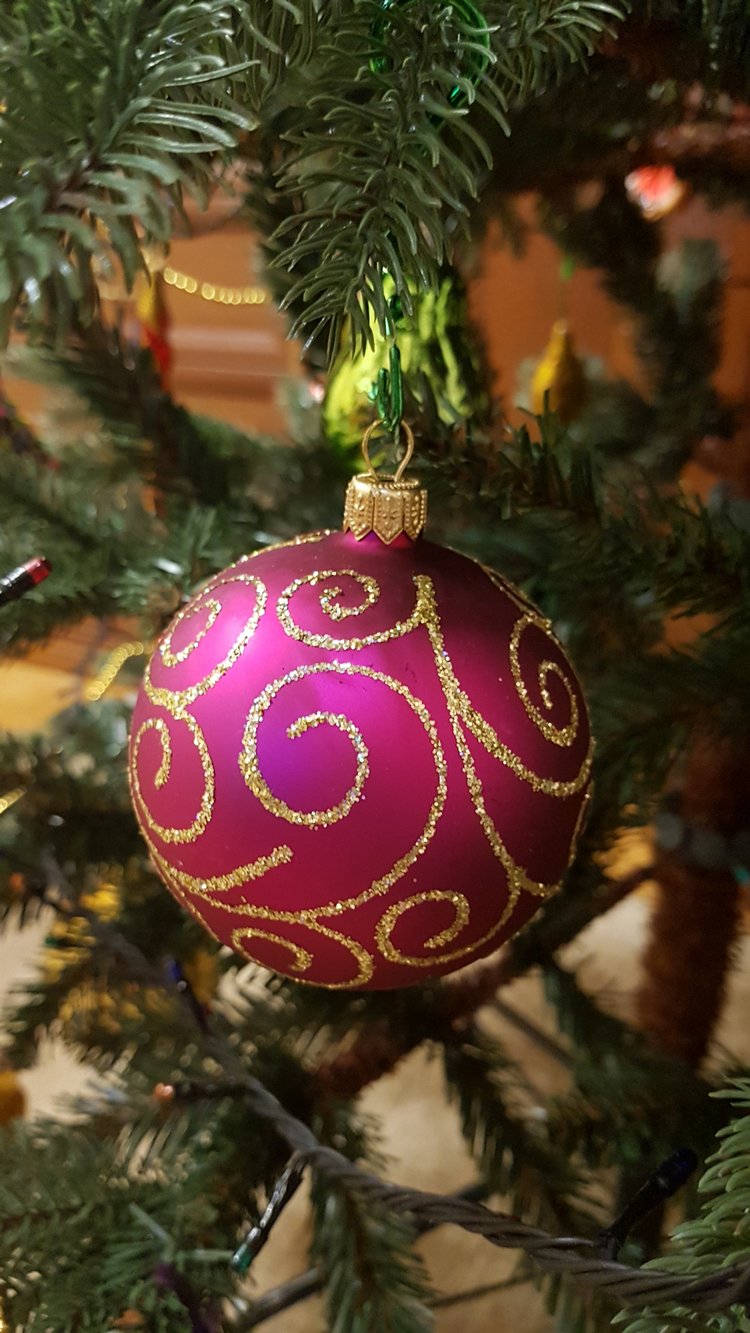 В степи родилась ёлочка, в жару она росла