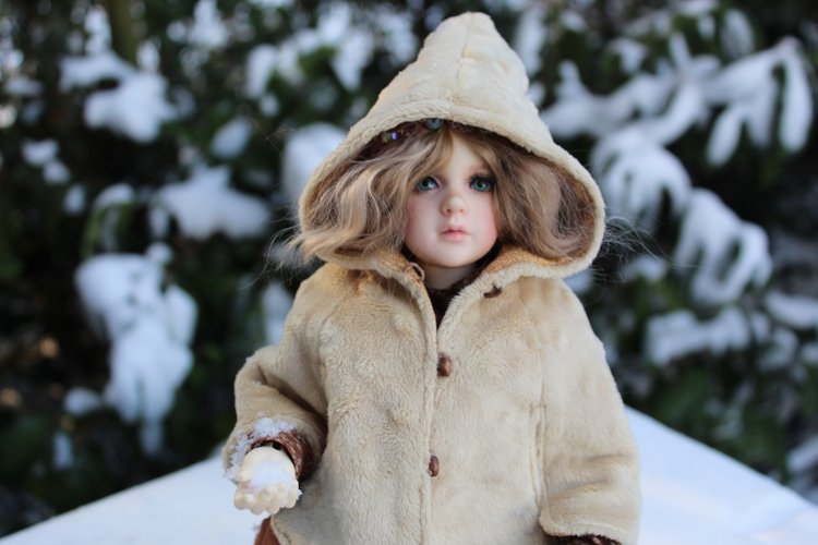 Розочка на снегу — Куклы Dollshe Craft (Доллше): BJD (БЖД)