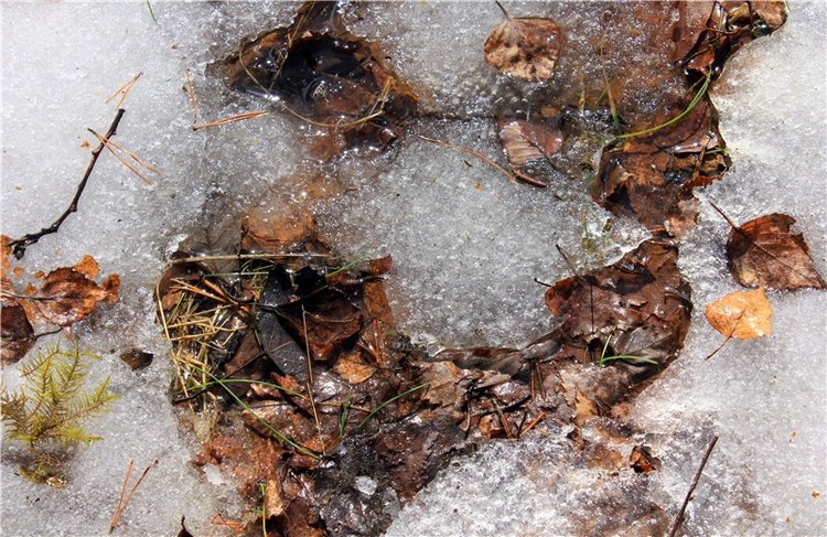 Весна в "Саду Камней" | Бэйбики Весна в "Саду Камней" — Куклы Meadow dolls (Медовушки): BJD (БЖД)