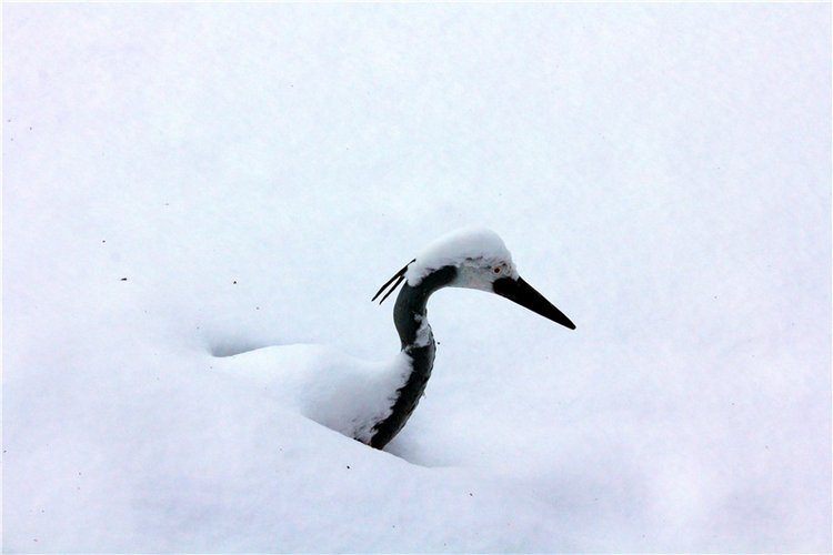Тверской Ботанический Сад, заключительная часть