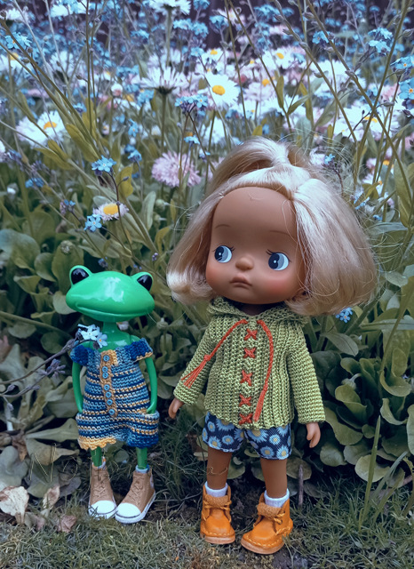 Holala Pipita Peter — Куклы Holala (Холала) от Jenny Fairytown: Pipita (фото 2)