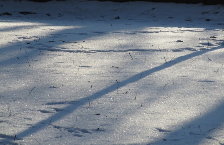 Король зимы — Разные шарнирные куклы (не БЖД): редкие (фото 3)