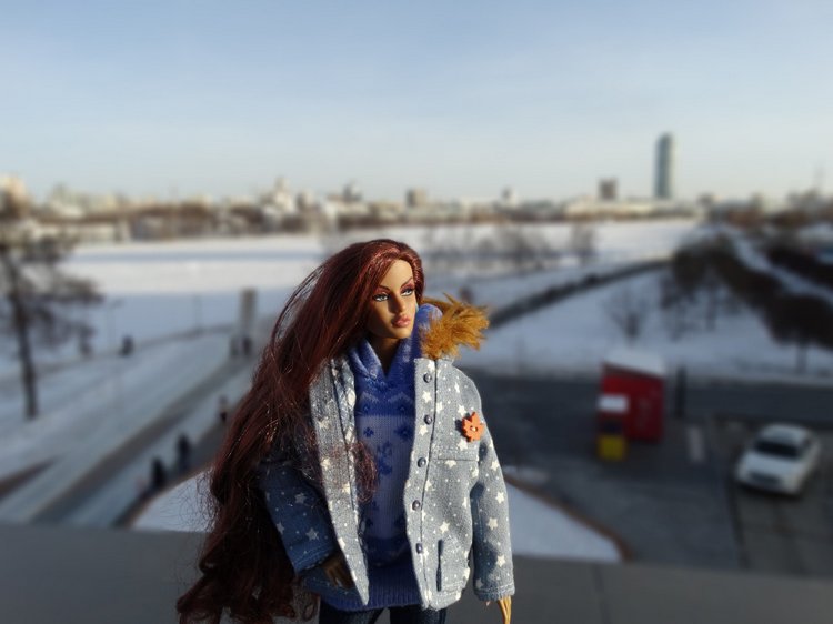 Рейна и Лана Fashion Royalty (фото 10)