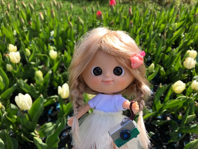 Как мы фотографировали улитку с Mui-chan (фото 4)