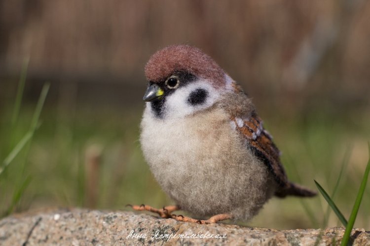 Воробушки — Валяные игрушки из шерсти: сухое валяние