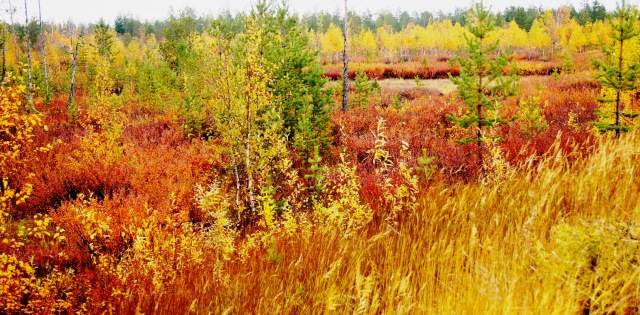 Осенний пейзаж — Туризм и путешествия: фотоотчеты из поездок (фото 3)