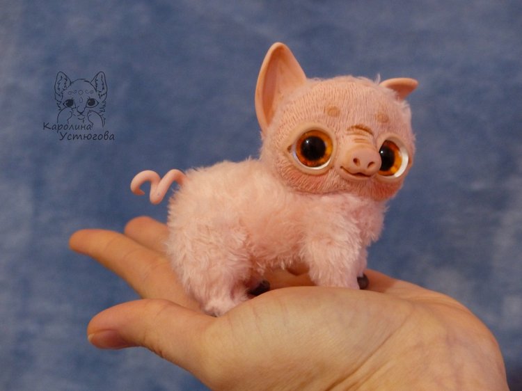 Свин Роберт - символ 2019 года (фото 8)