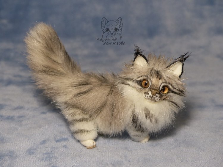 Мейн-ку́н, миниатюра. Серебристый окрас