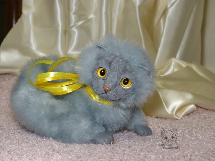 Котенок. Шотландский вислоухий