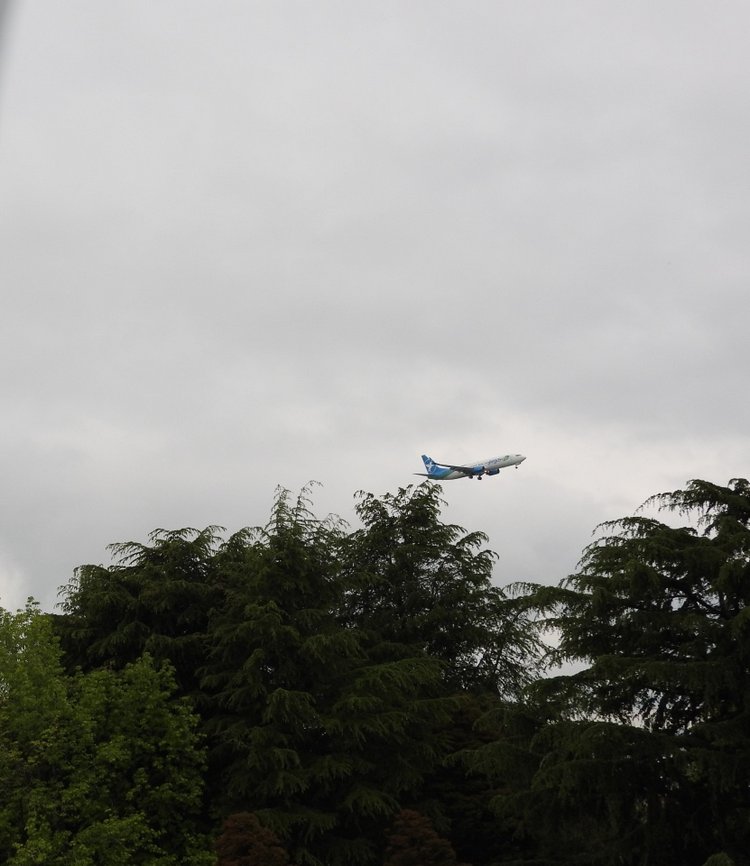 Сочи-Адлер: Южное Взморье - наблюдения за самолетами