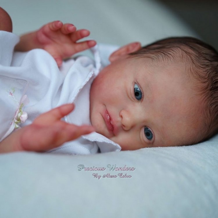 Молд Sparrow Скульптор Mayra Garza (фото 2)