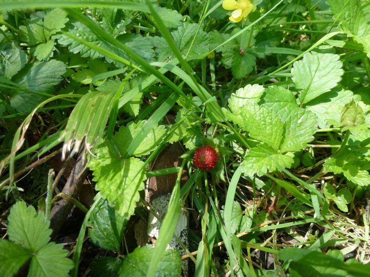 Сочи-Адлер: Южное Взморье - виртуальное путешествие по территории санатория