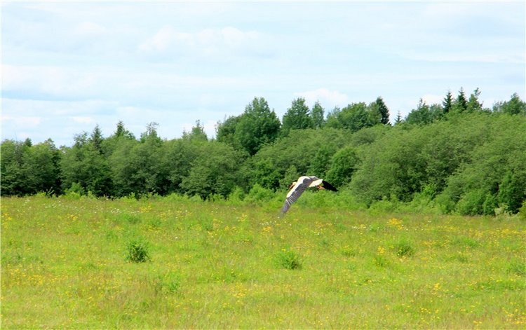 Путешествие с Бенни — Культура (фото 9)