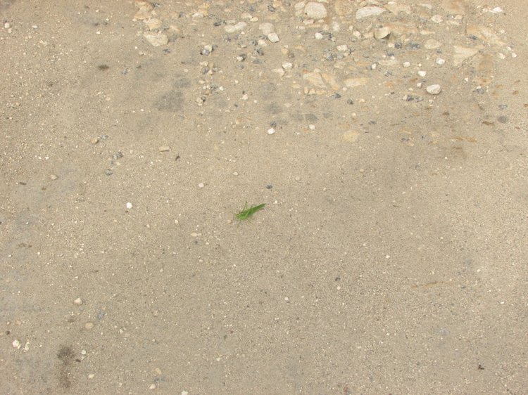 Путешествие в Нижегородскую область - часть 2 - Размещение в деревушке и прогулка по окресностям