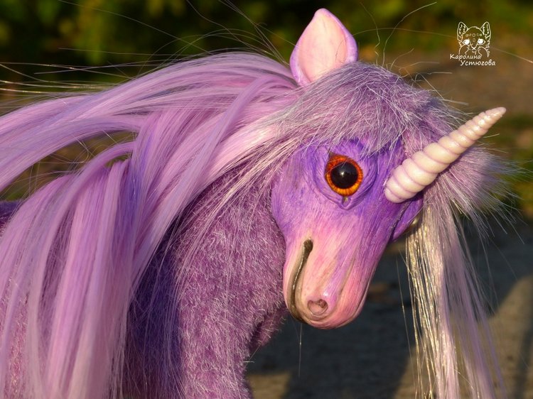 Единорог-страна мечты. Осеняя прогулка (фото 4)