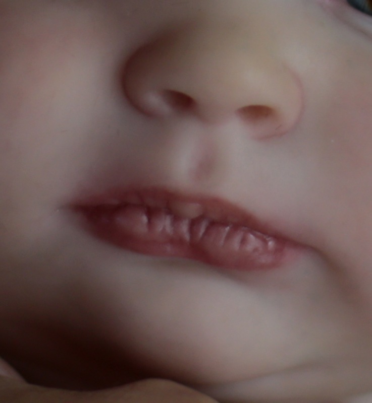 Мой Joseph — Куклы Реборн (Reborn): работы мастеров (фото 10)