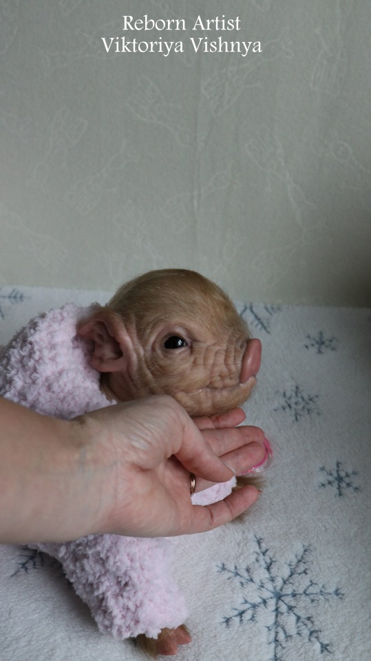 Поросенок Мила... куколка реборн Виктории Вишни