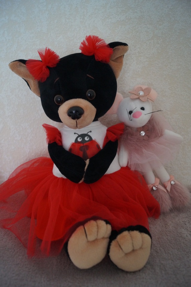 У Агаши много новеньких! Жители надкроватных полочек