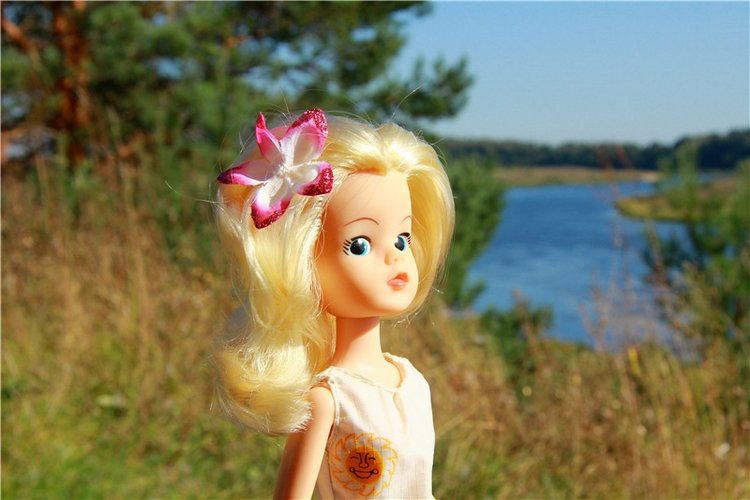 Синди на природе. Sindy dolls