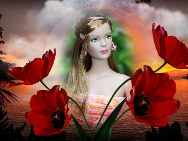 Мои Тоннерки. Фотозарисовки