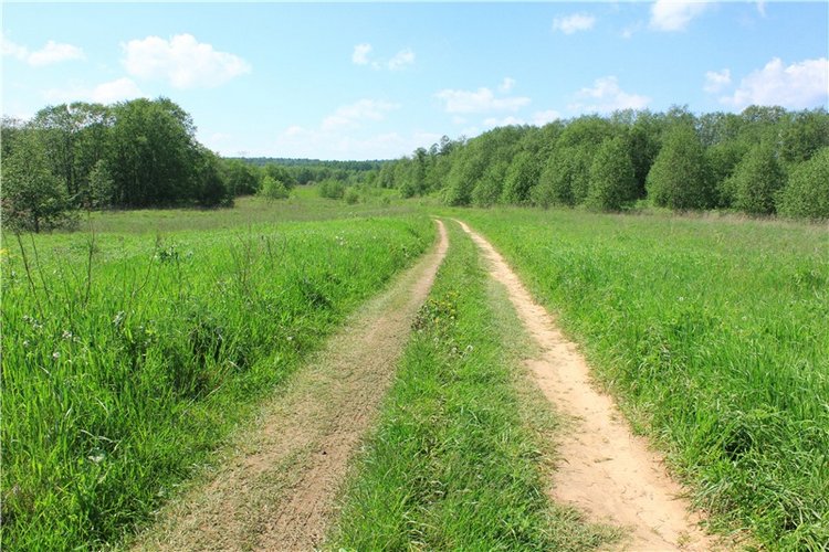 Эля в Иванишах. Twinkles Ella Chocolate