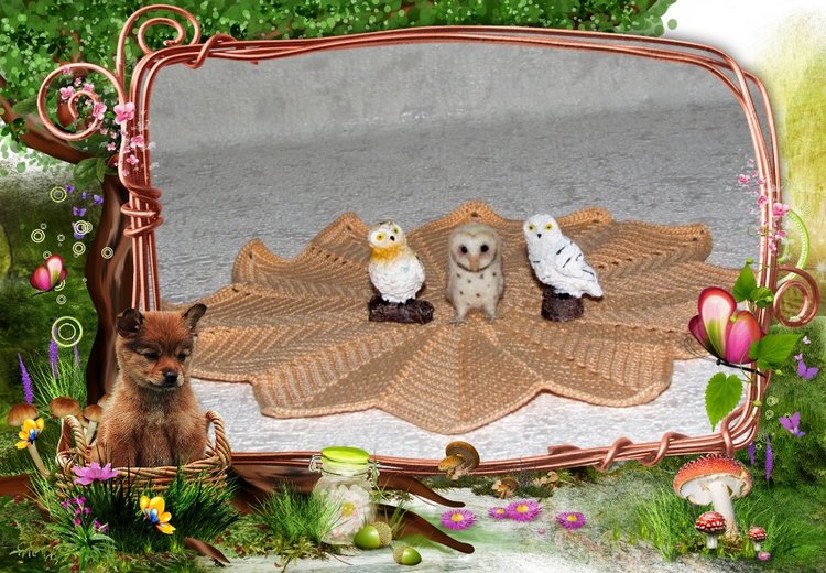 Маленькое Чудо - "Совёнок Рокки" (фото 10)