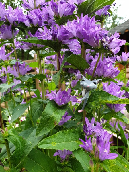 Лягушонок превращается в... мышонка