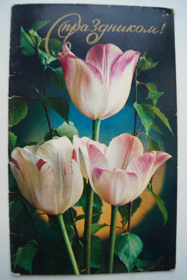 Советские открытки на каждый праздник. Годовой цикл. 23 февраля (фото 8)