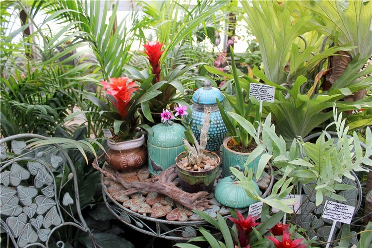 Тверской Ботанический Сад, продолжение | Бэйбики Тверской Ботанический Сад, продолжение