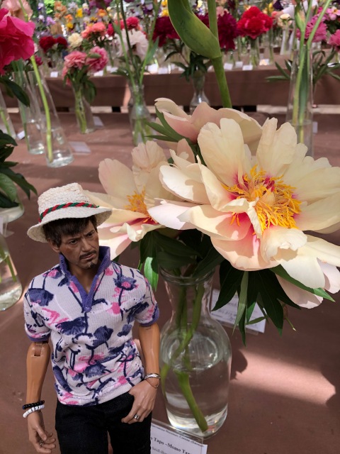 Тони Старк: приключения без брони. И снова Аптекарский огород | Бэйбики Тони Старк: приключения без брони. И снова Аптекарский огород