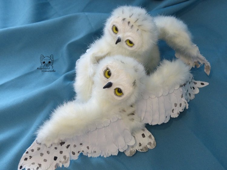 Полярные совы. Стремящиеся в полет (фото 9)