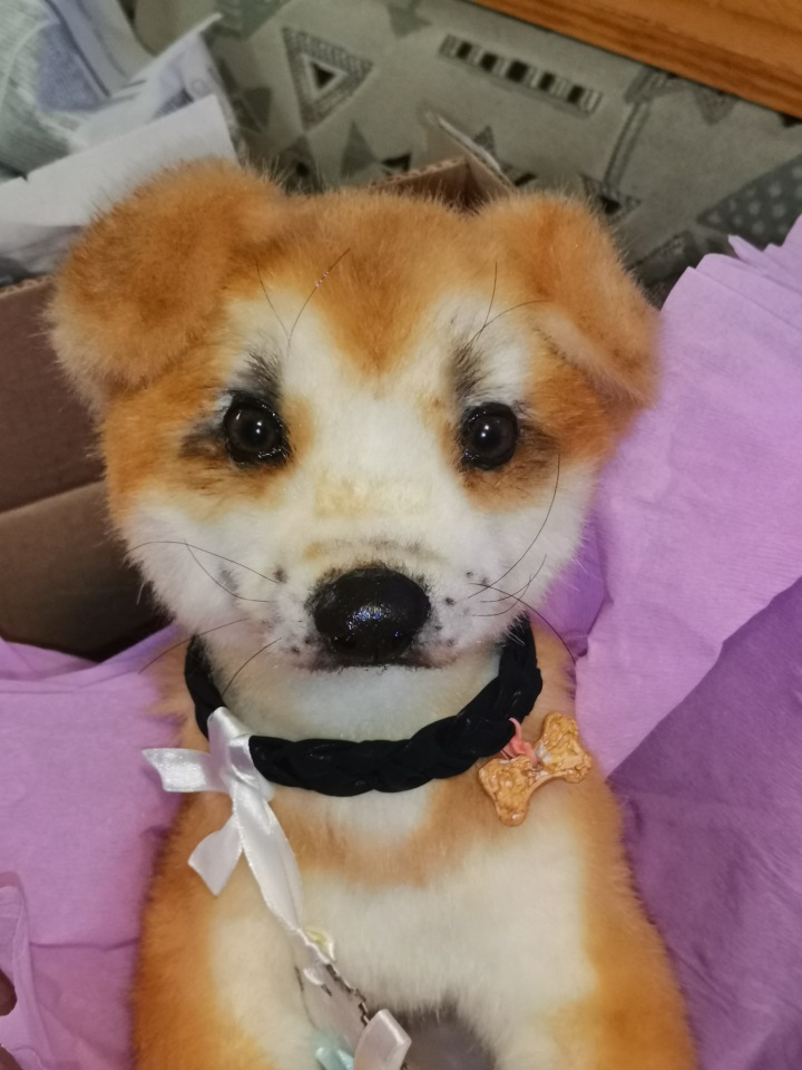 Акито щенок — Игрушки в смешанной технике (мех и глина): Арт (фото 4)