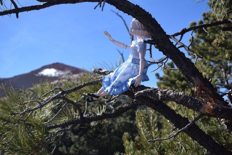 Моё сердечко — Разные шарнирные куклы (не БЖД): редкие