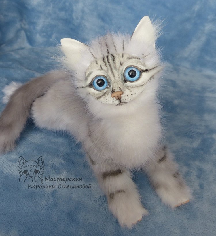 Невские Маскарадные коты серебристого окраса и Совята (фото 7)
