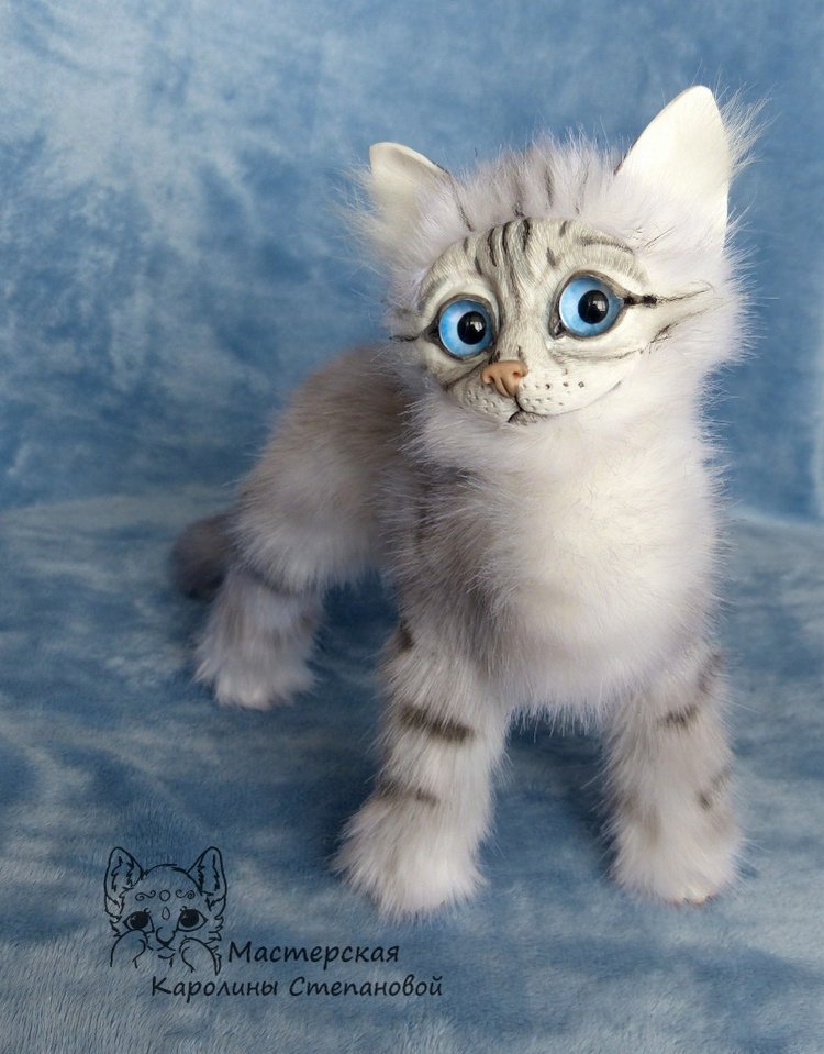 Невские Маскарадные коты серебристого окраса и Совята