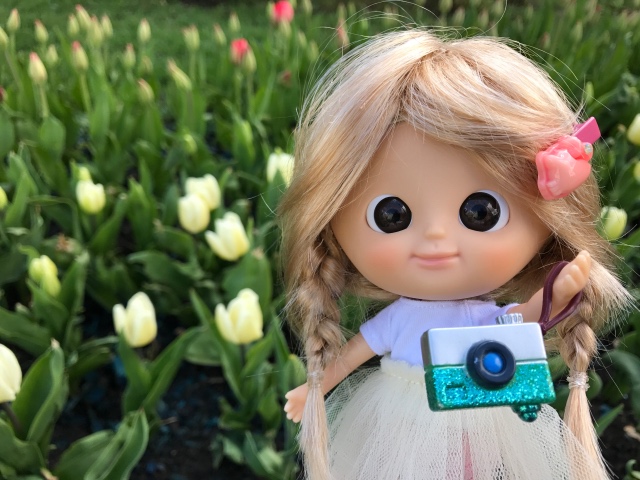 Как мы фотографировали улитку с Mui-chan